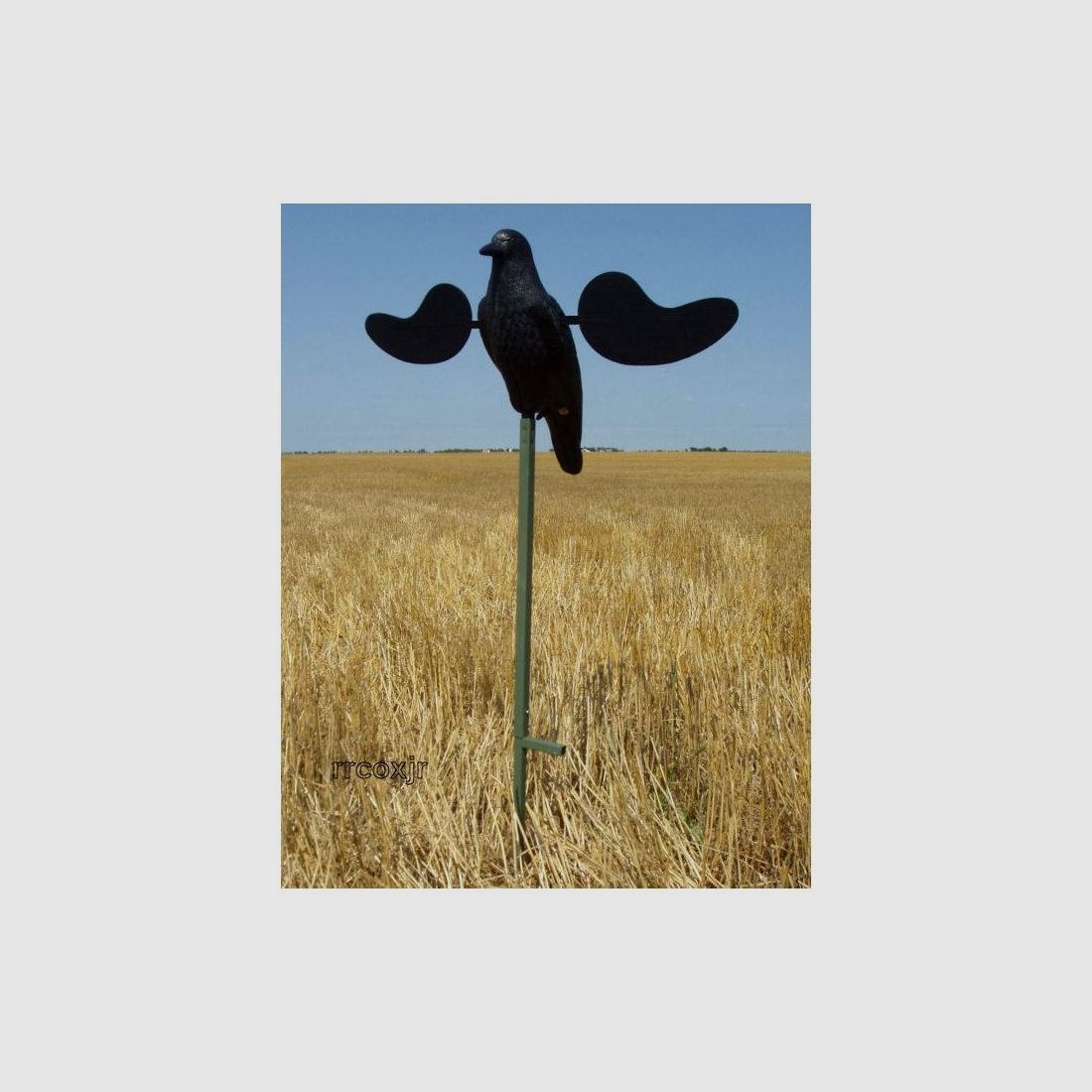 Mojo Crow corbeau avec ailes rotatives, image 2 sur 2