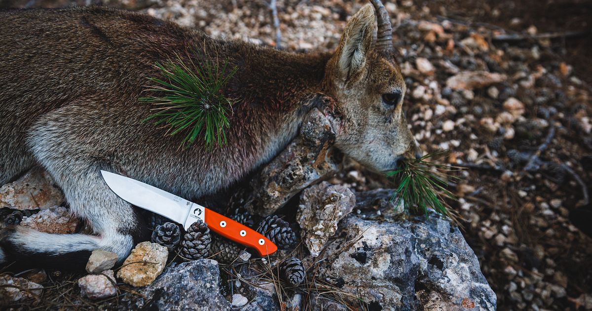 Das GEARTESTER Messer 2024: das Messer für die Jagdpraxis - Das ...