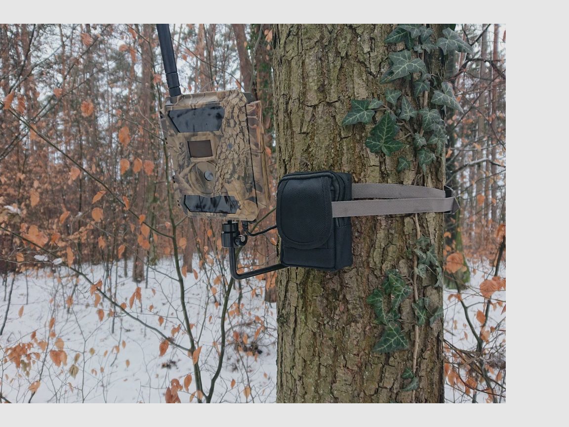 Śruba do drzewa z głowicą kulową