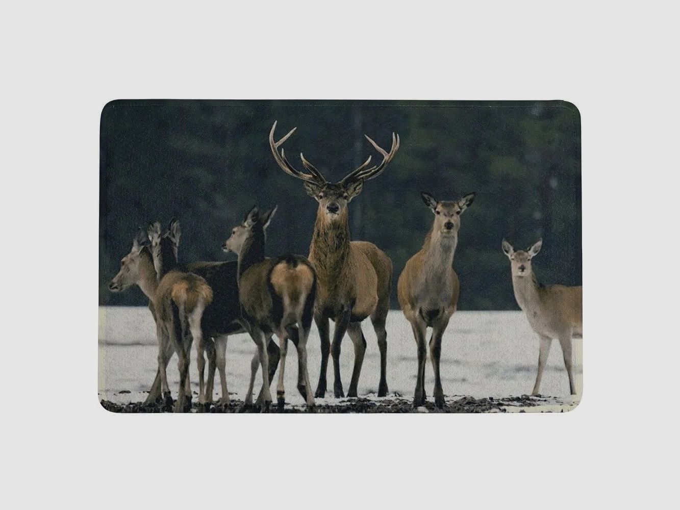 LivingActive Fußmatte Schnee Herde Hirsch 75x50 cm