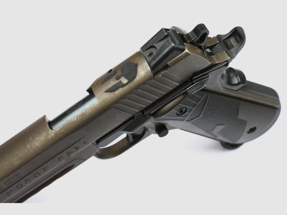 Sig Sauer 1911 Spartan II 45ACP, immagine 6 di 9