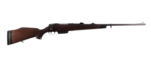 Sauer 80