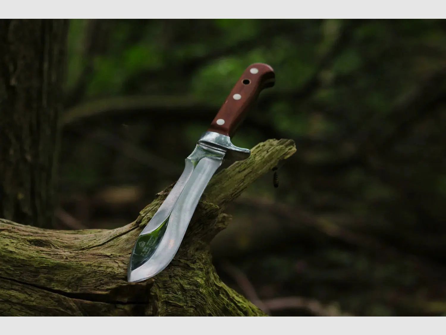 Cuchillo automático PUMA, sin sierra