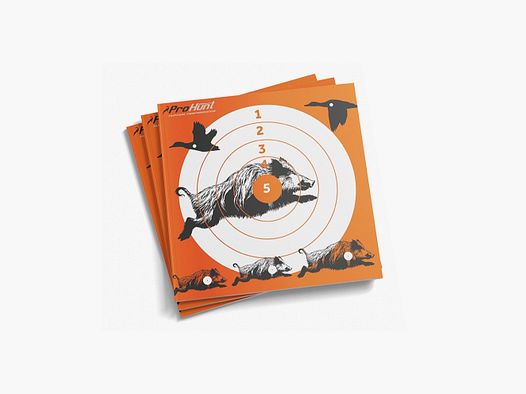 Cible 14 x 14 cm lot 10 pieces Pro Hunt