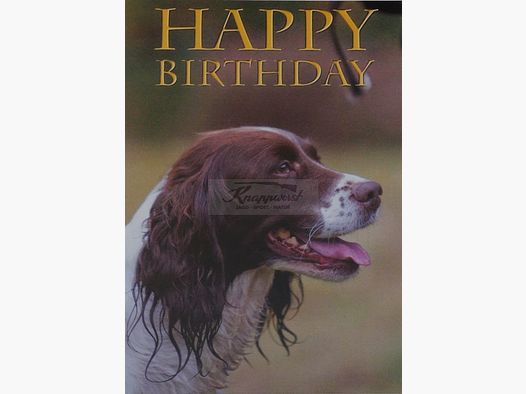 Geburtstagskarte Springer Spaniel