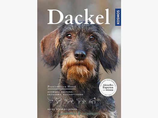 Cosmos Dachshund Heike Schmidt-Röger
