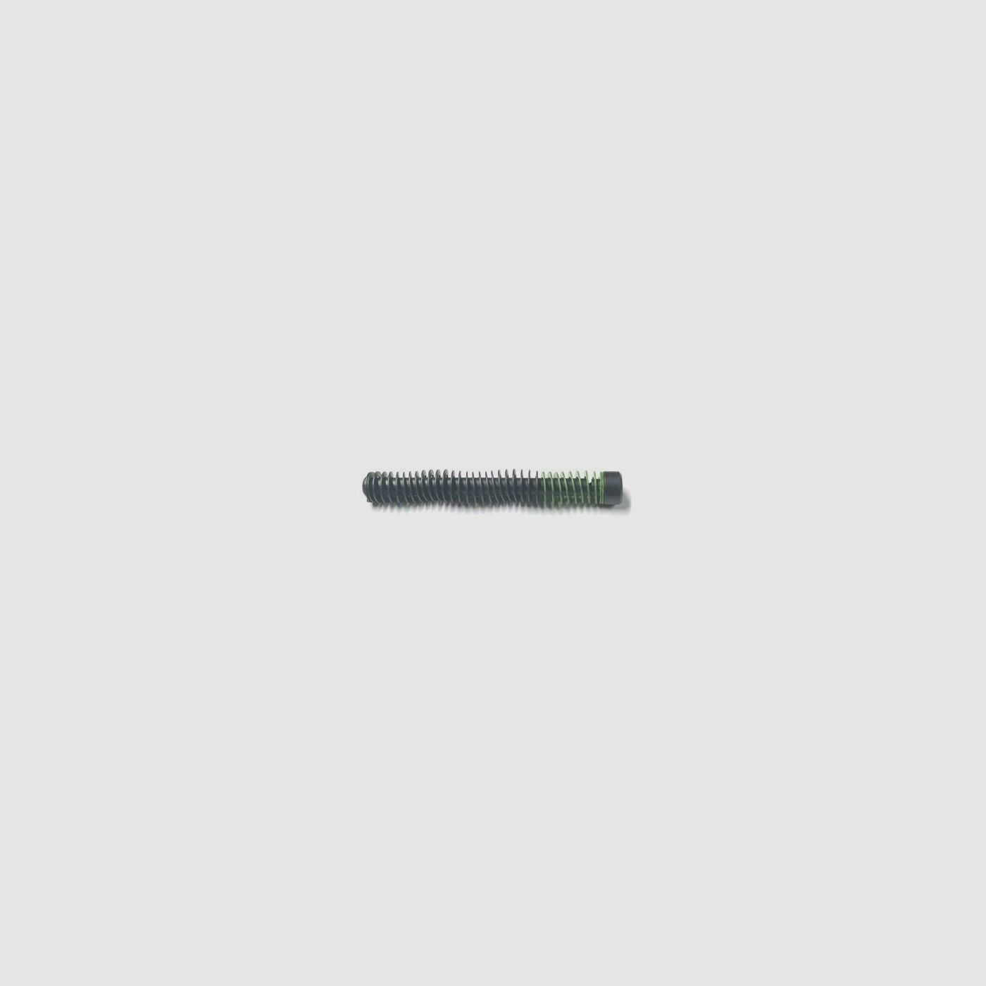 RUGER SR9 Guide Rod Assembly 9mm