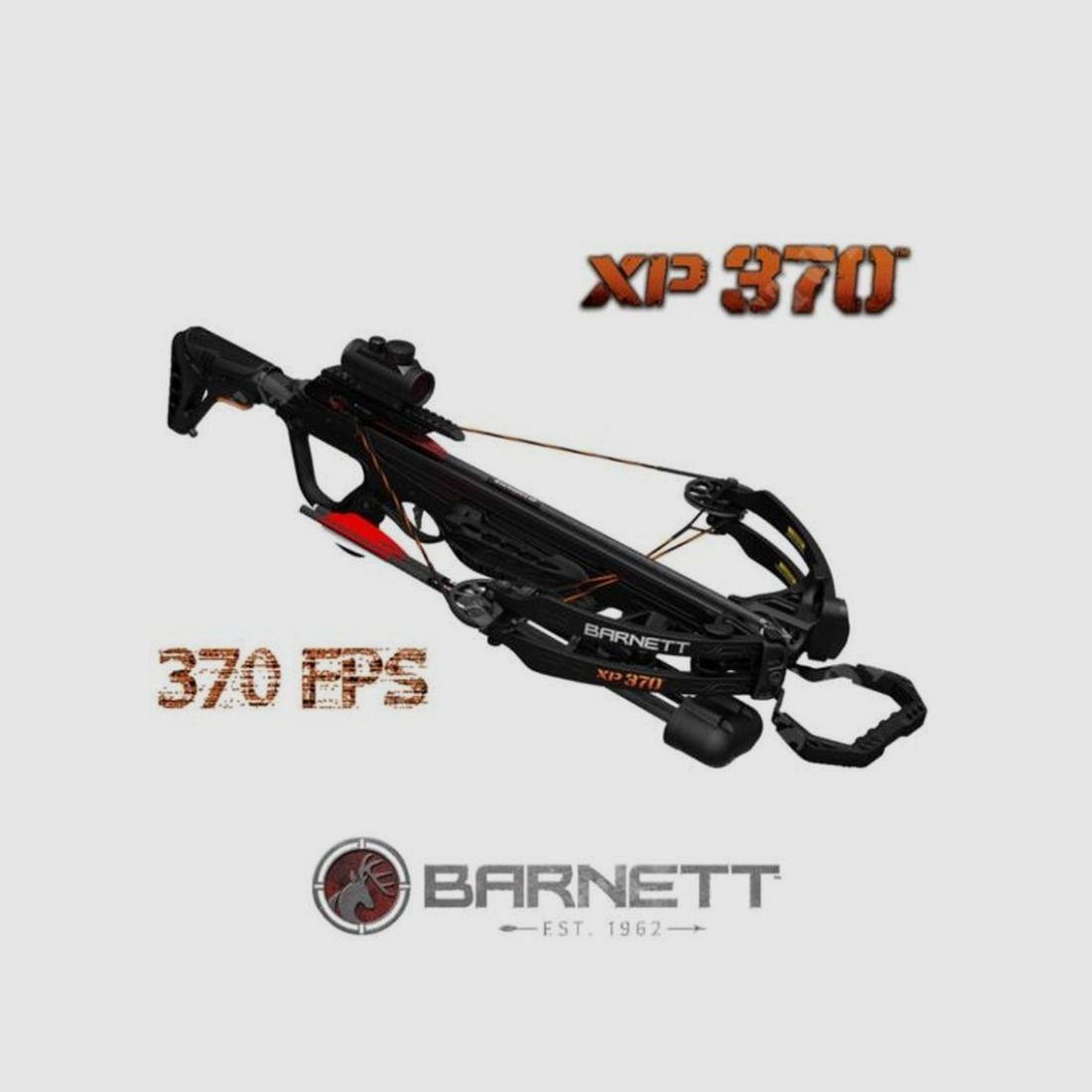 BARNETT BALESTRA XP370 EXPLORER