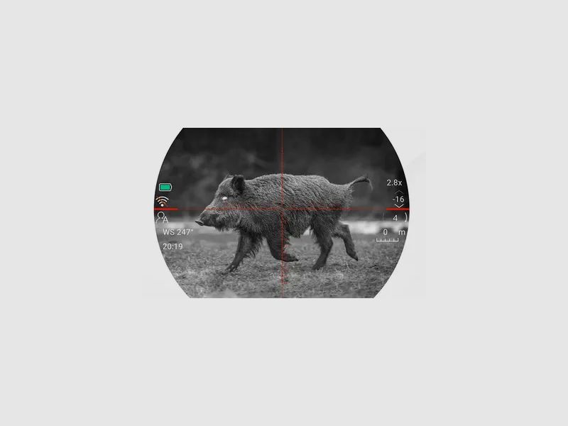PARD Tag-/Nachtsichtgerät NS4M Nightstalker 4K Mini LRF, Bild 29 von 30