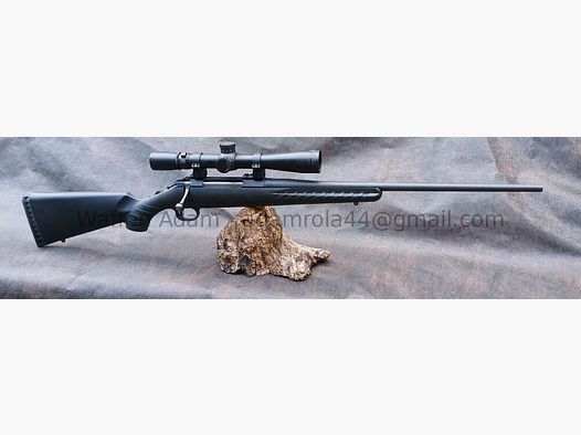 Fusil américain Ruger