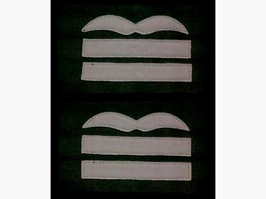 Dienstgardabz. Major f. Fallschirmjäger/ Flieger