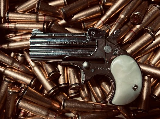 Derringer pistol .22 LR