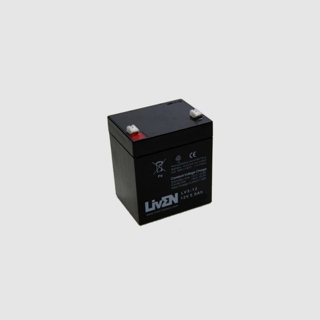 12V Battery