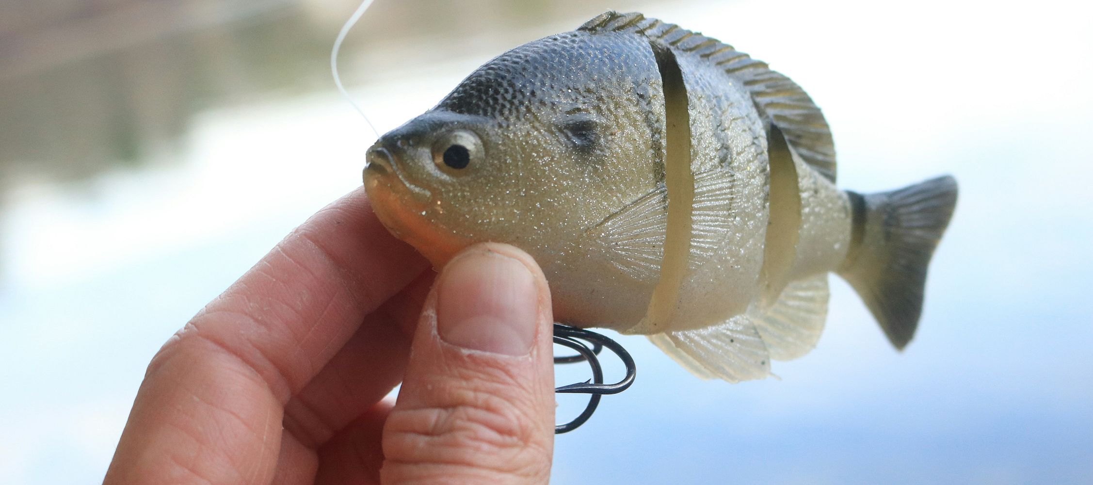 The Diversity of Bait Containers for a Successful Fishing Experience