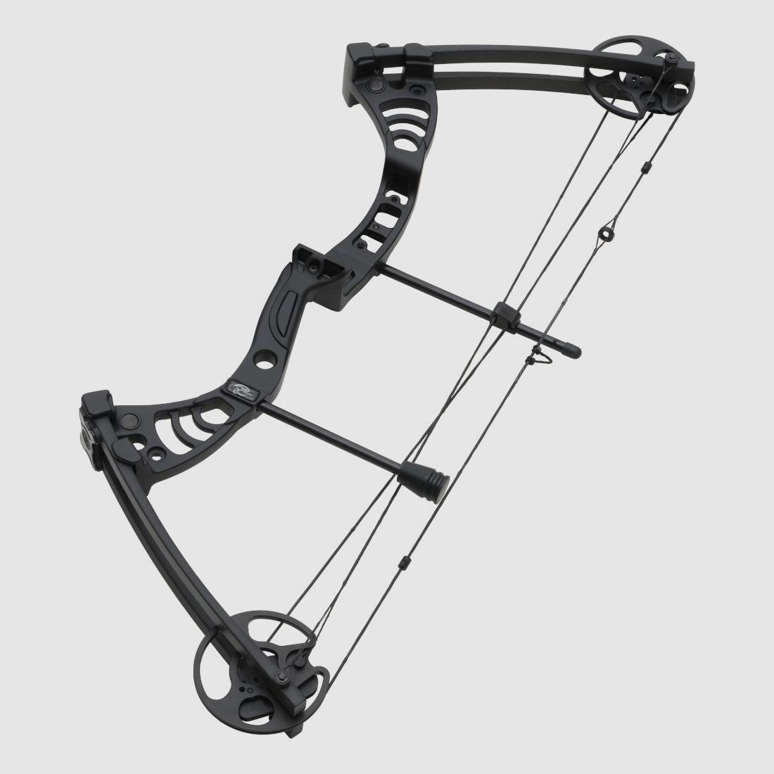 Compound Bow Aurora 55 lbs