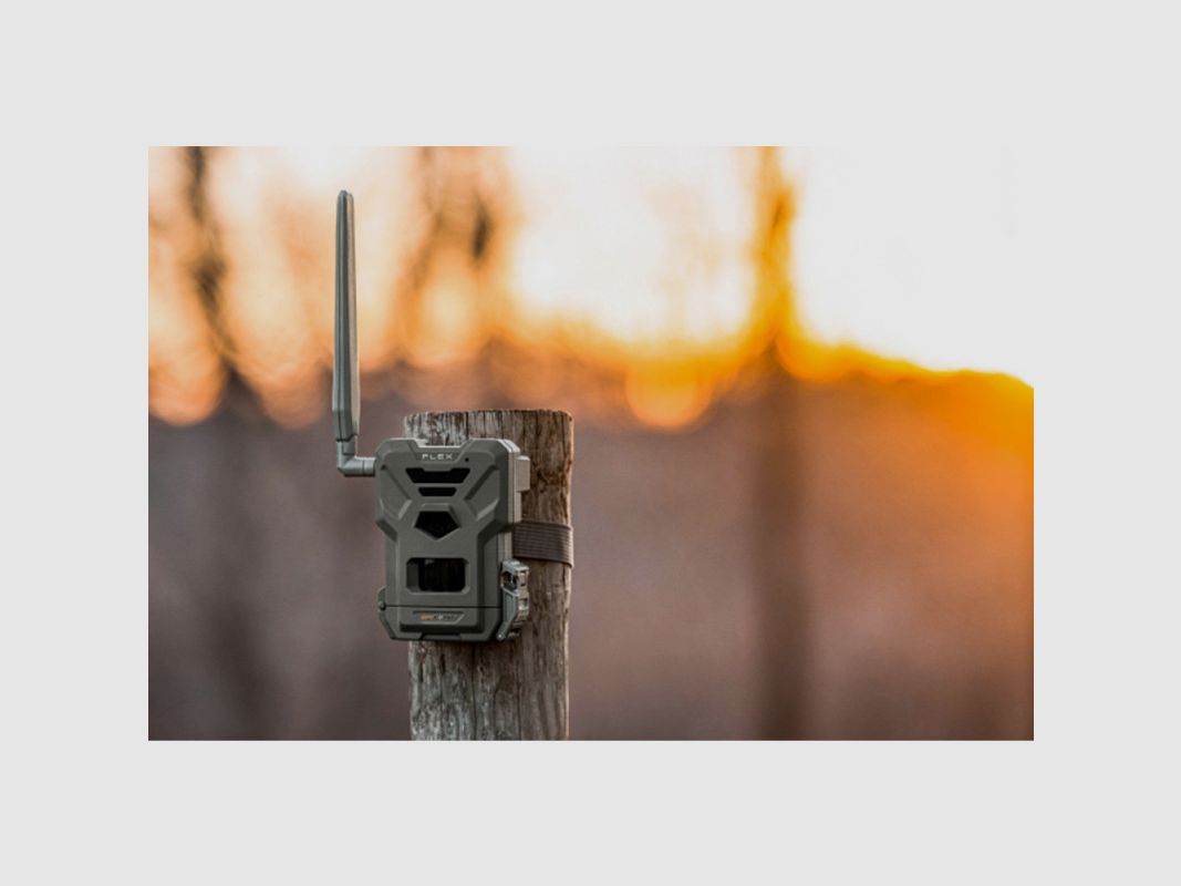 SPYPOINT FLEX-M CELLULAR-KAMERA, Bild 2 von 3