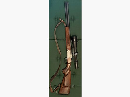 Blaser BBF 95 Kal. 243  mit Einstecklauf 30-06