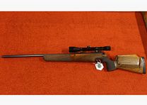 Walther .22Hornet