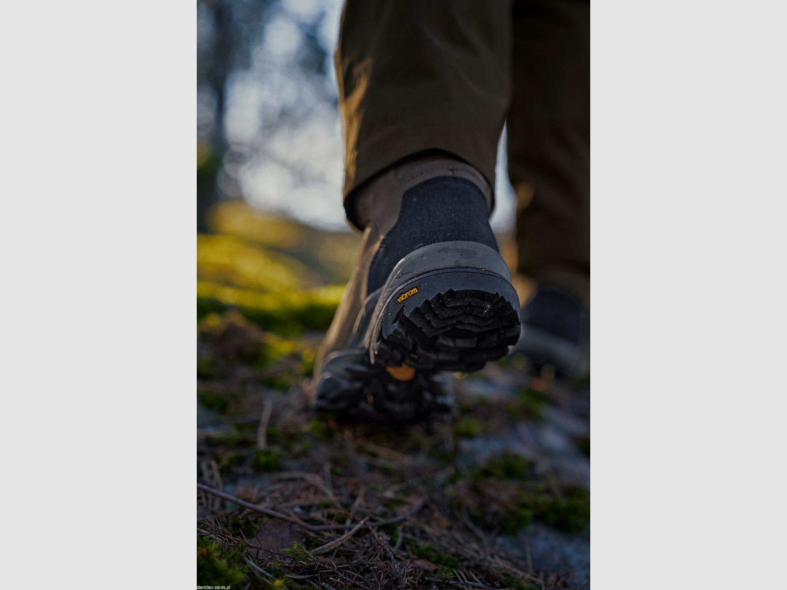 Stivali HARKILA REIDMAR MID GTX 2.0, immagine 2 di 4