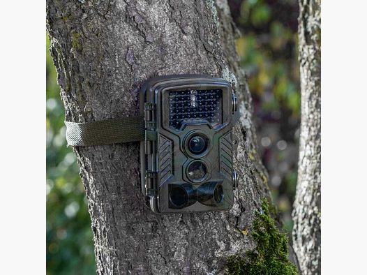 Wild camera Berger & Schröter