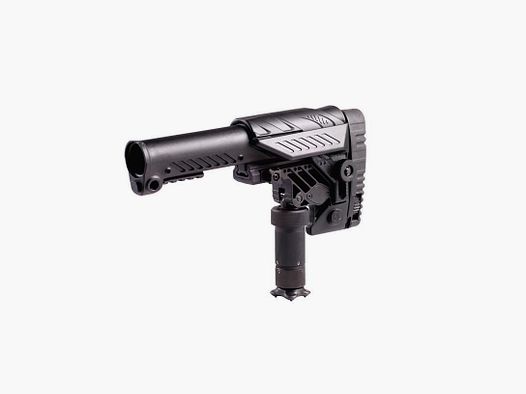 CAA Tactical SRS Multi Position AR Festschaft