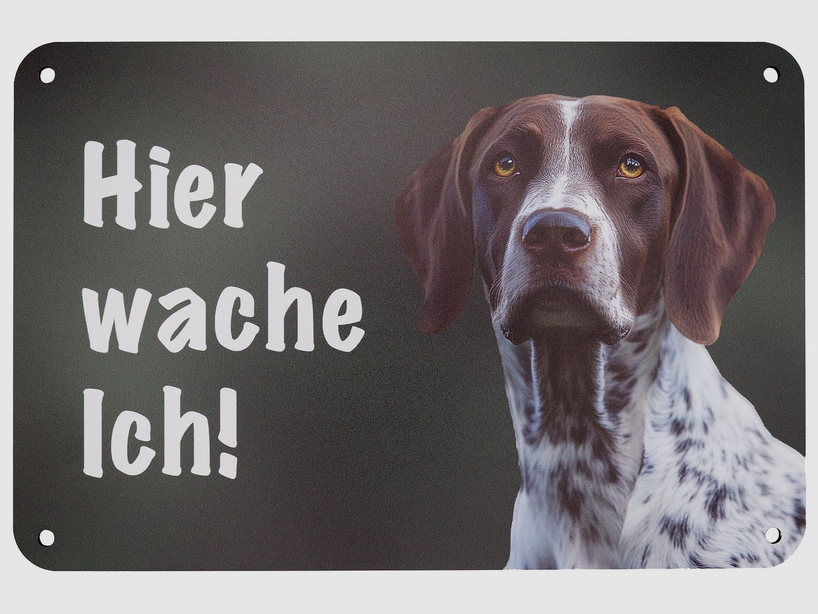 Wilde Hilde Original Schild Hier wache Ich