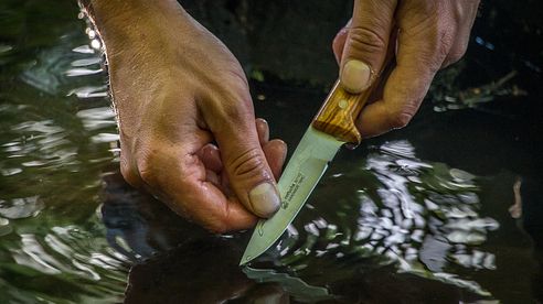 Reinigung und Pflege von Jagdmessern