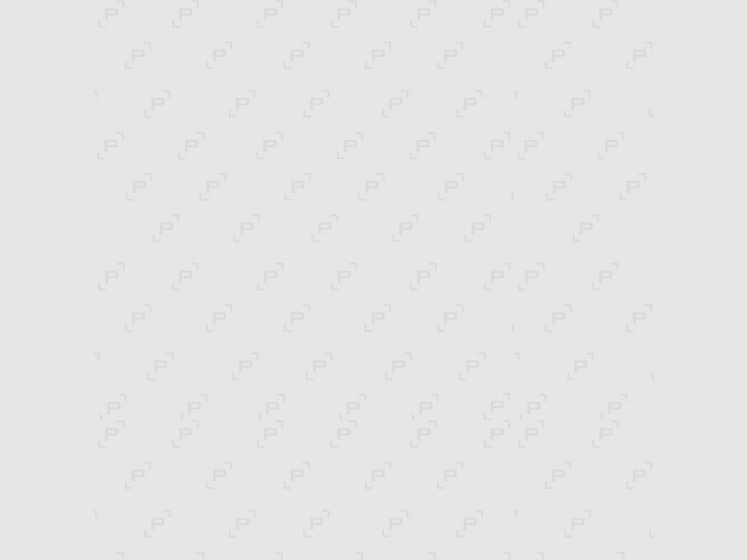 Pack zur Ortung und Ausbildung NUM’AXES CANICOM GPS 2, Bild 5 von 5