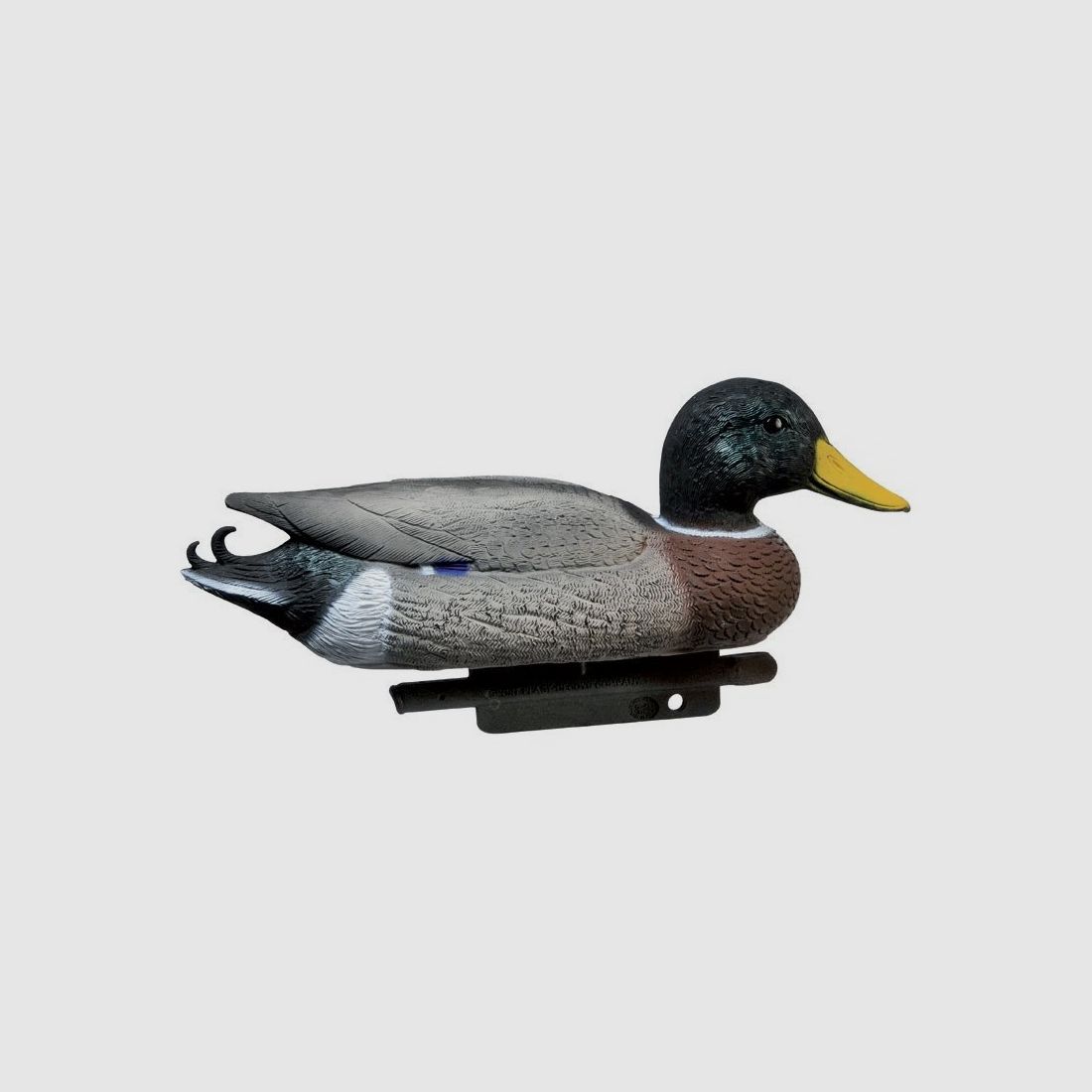 Appelant colvert mâle