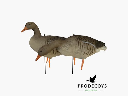 ProDecoys Full Body Grauwe Gans Lokkers Ultralight Series - 12 stuk