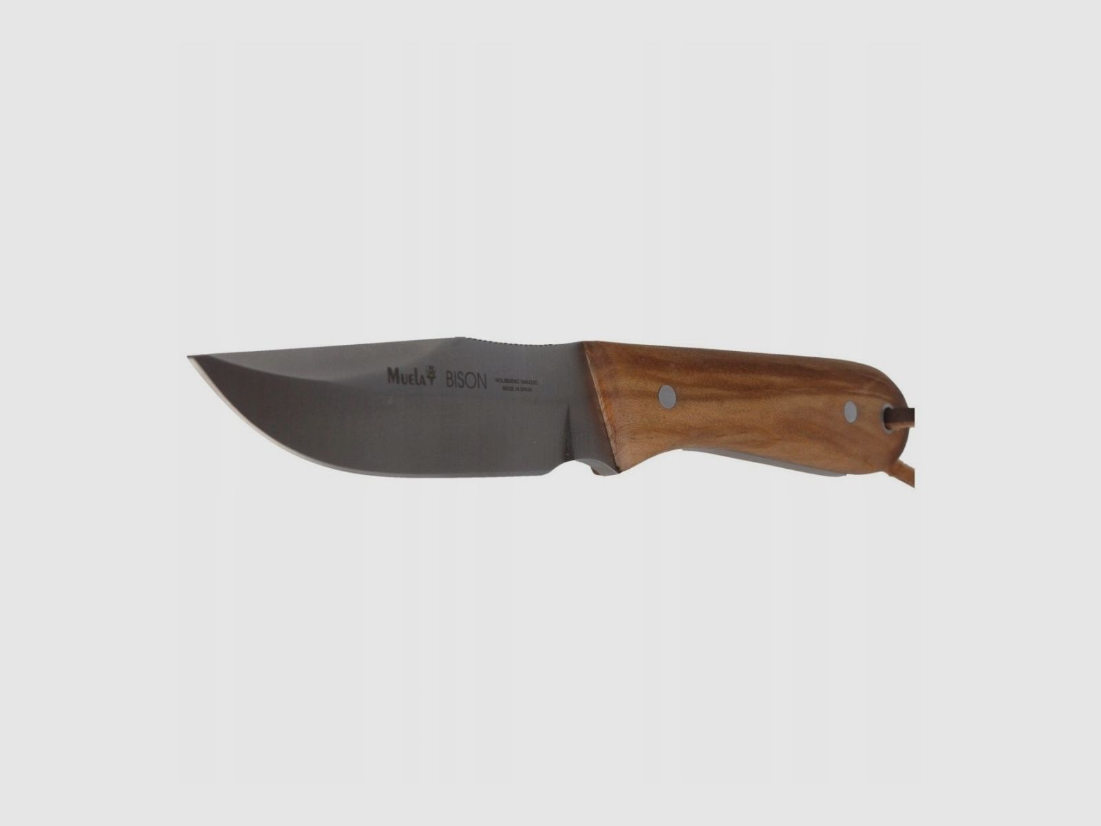 Nóż Muela BISON-9.OL Olive Wood, zdjęcie 2 z 6