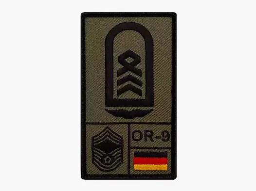 Café Viereck Distintivo di grado Oberstabsfeldwebel Luftwaffe - Oliva