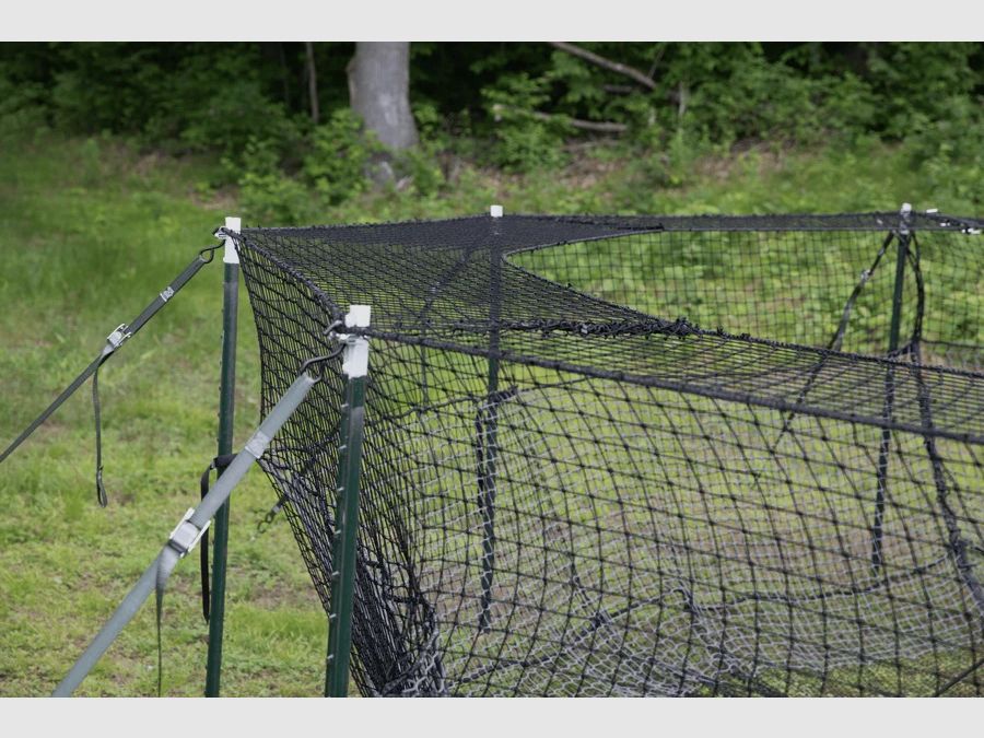 Pig Brig Trap Cap, Bild 1 von 6