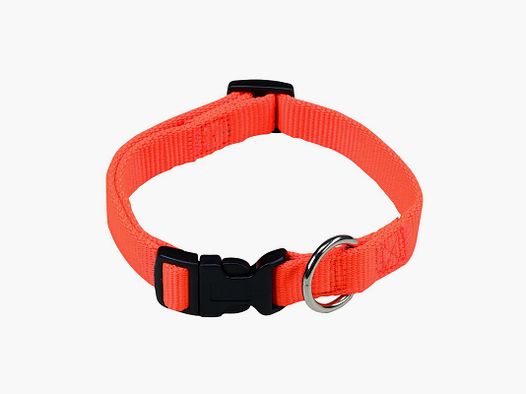 Collier pour chien orange signal