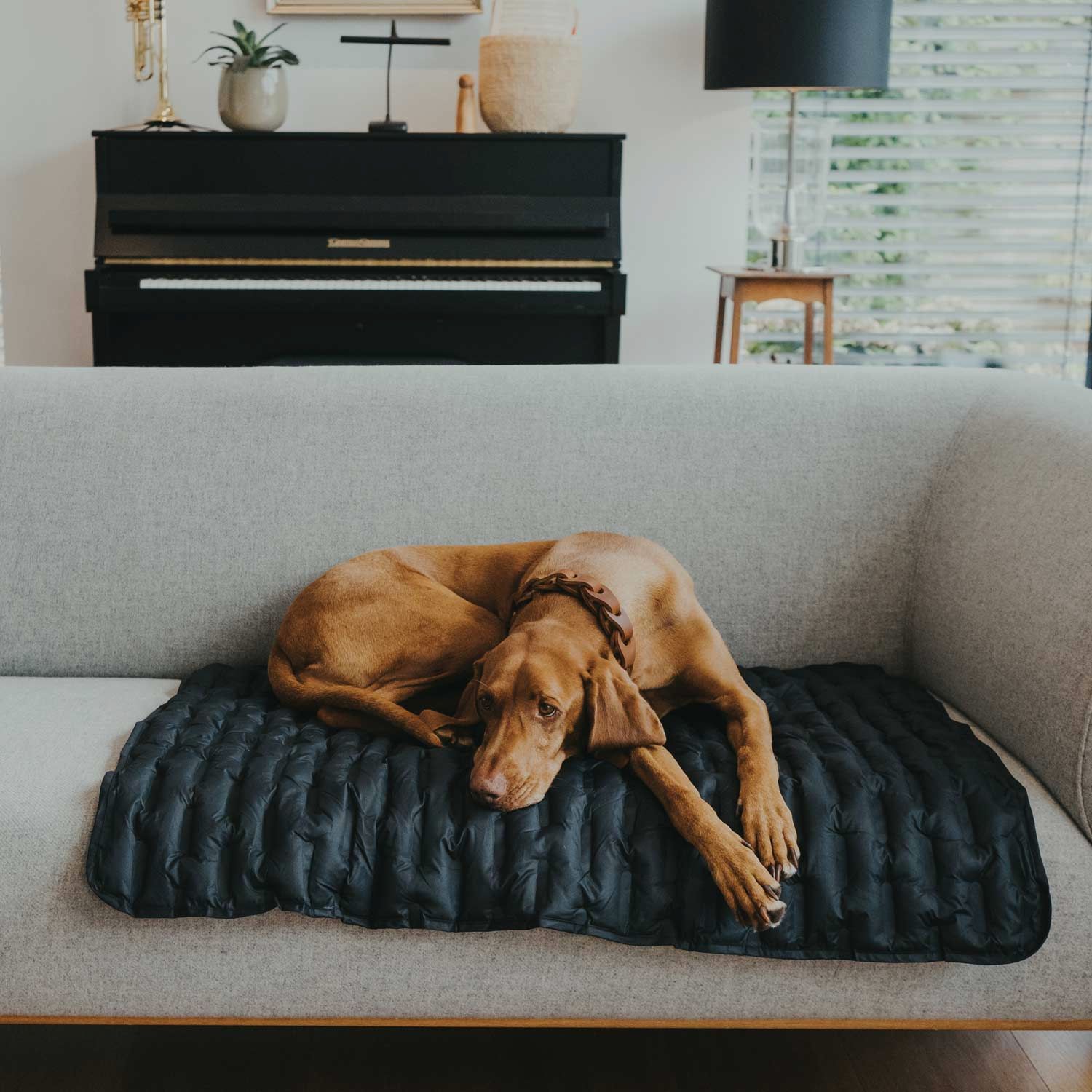 Hunter Koc dla psa Monaco