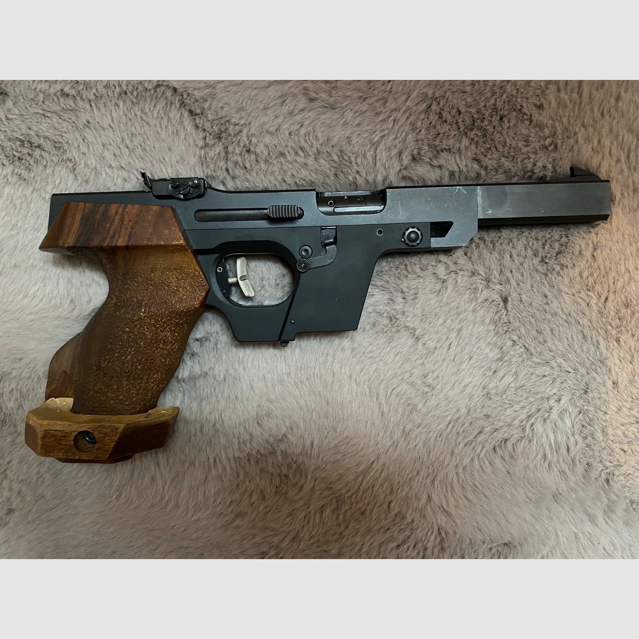 Walther GSP