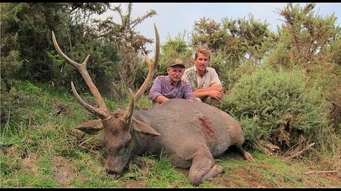 Hunting adventures in New Zealand