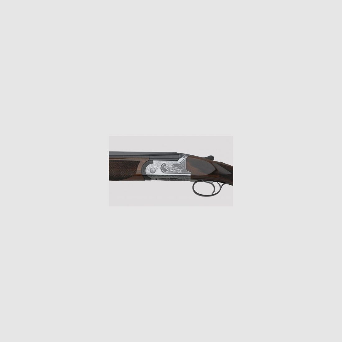 Rizzini Express pyrrum, imagen 1 de 3