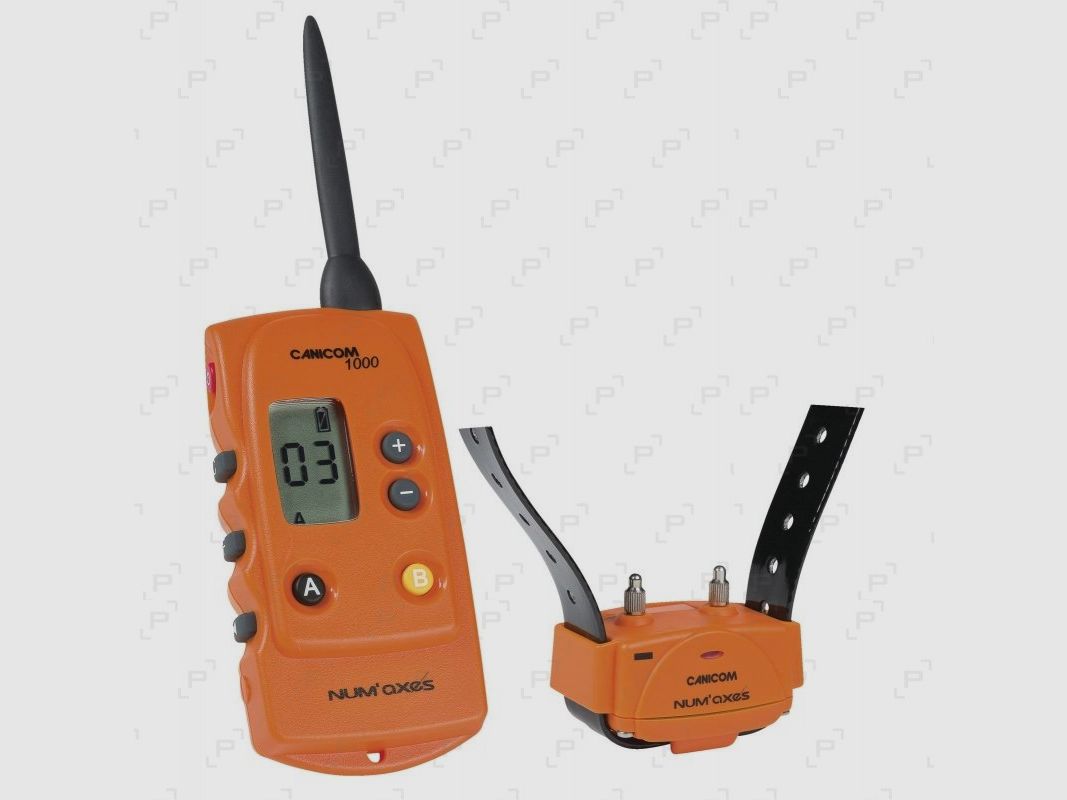 Pack de dressage NUM’AXES CANICOM 1000 - 1 CHIEN avec un collier, portée 1000 m, image 1 sur 3