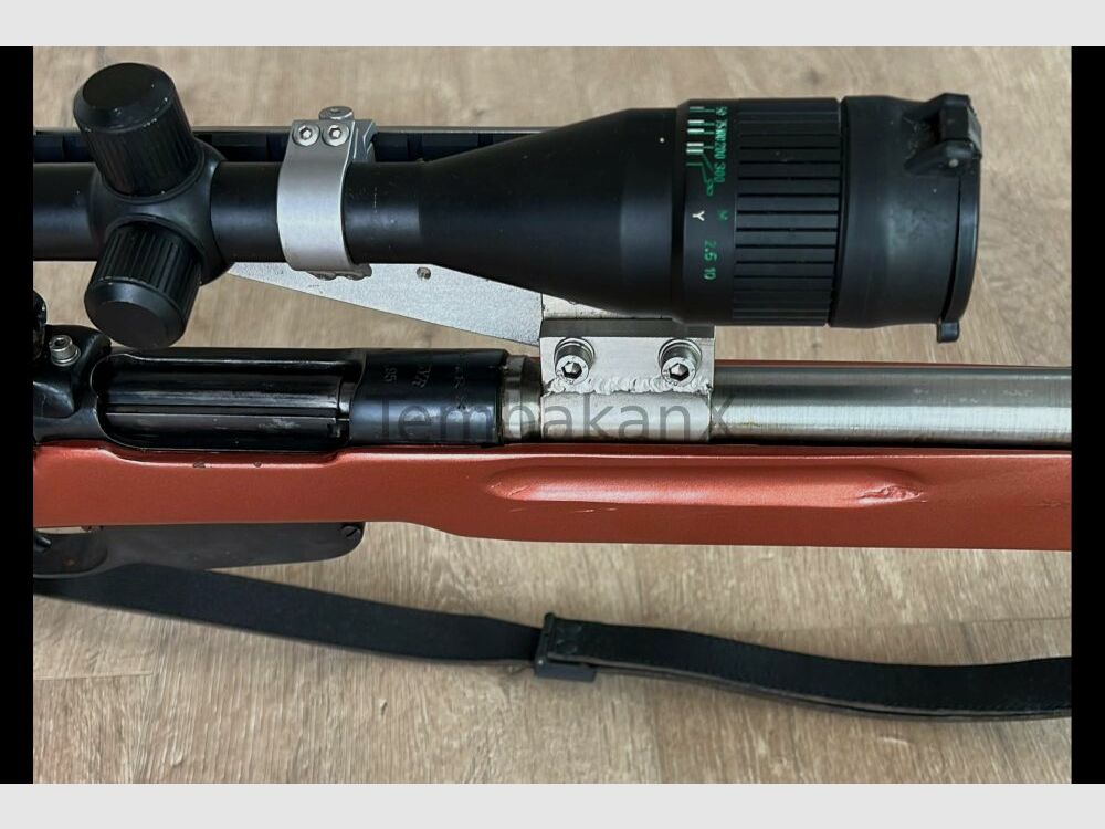 Styria Arms M95 Modifiziert/Umbau .308Win
