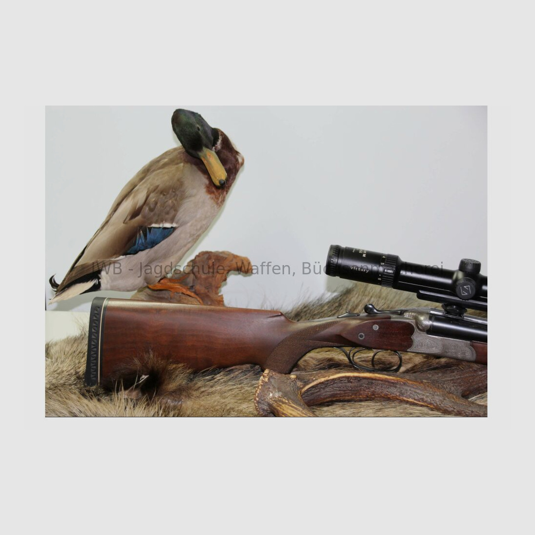 Sauer & Sohn mit Zeiss Victory Varipoint und mündungslangen ESL 8x57JRS;16/70;.22Hornet