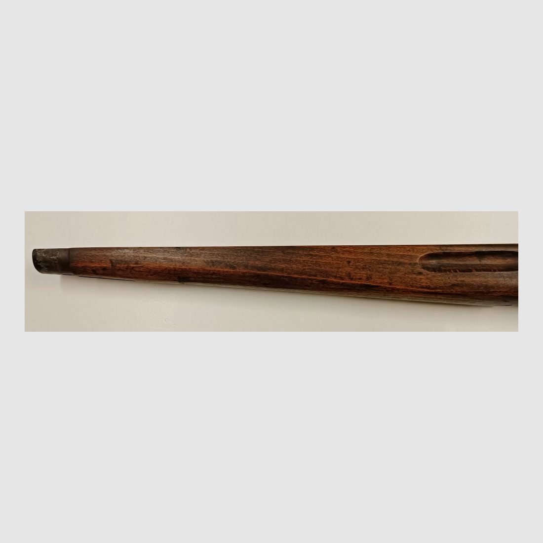 Sujeto suizo ZFK-55 revisado