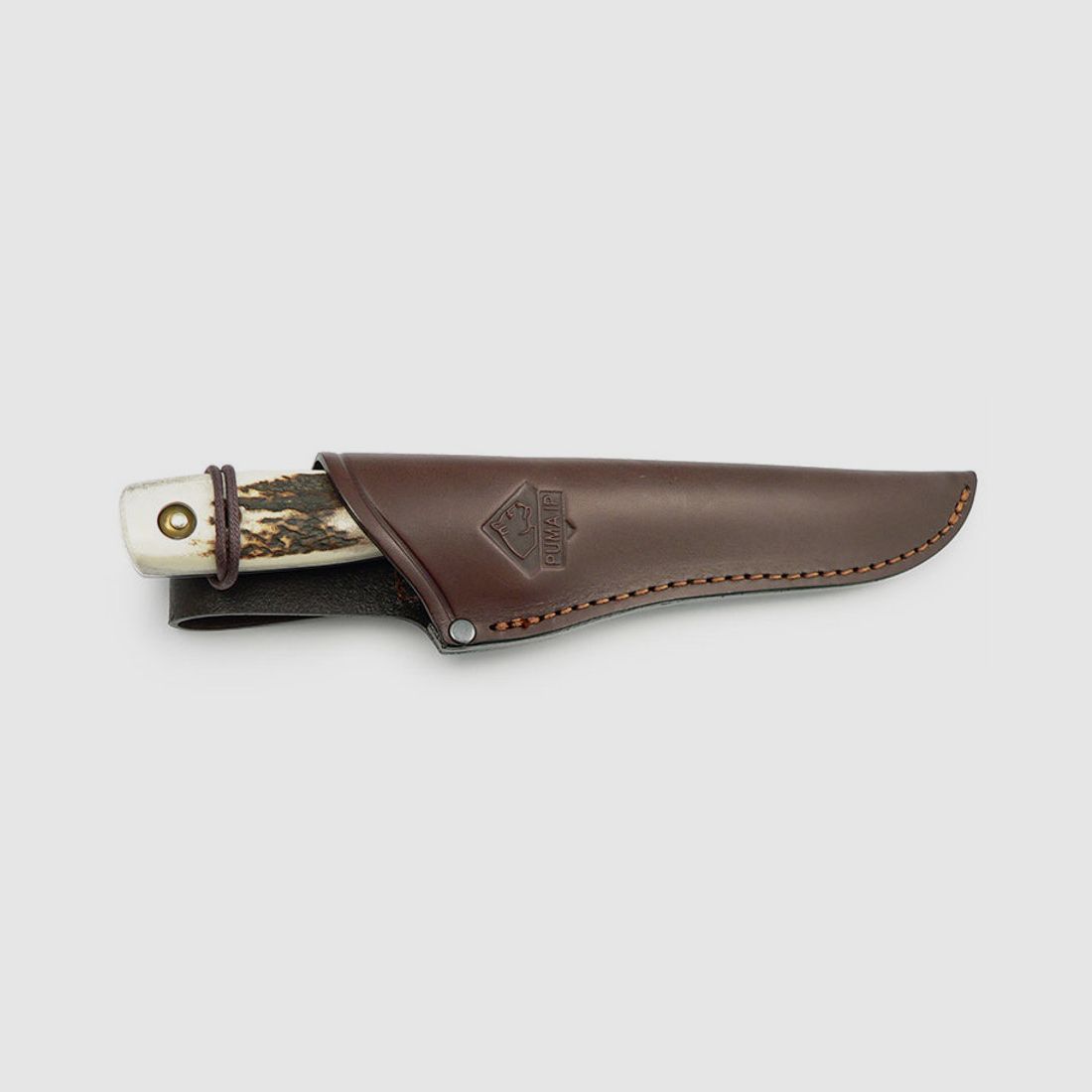 PUMA IP damwild, stag