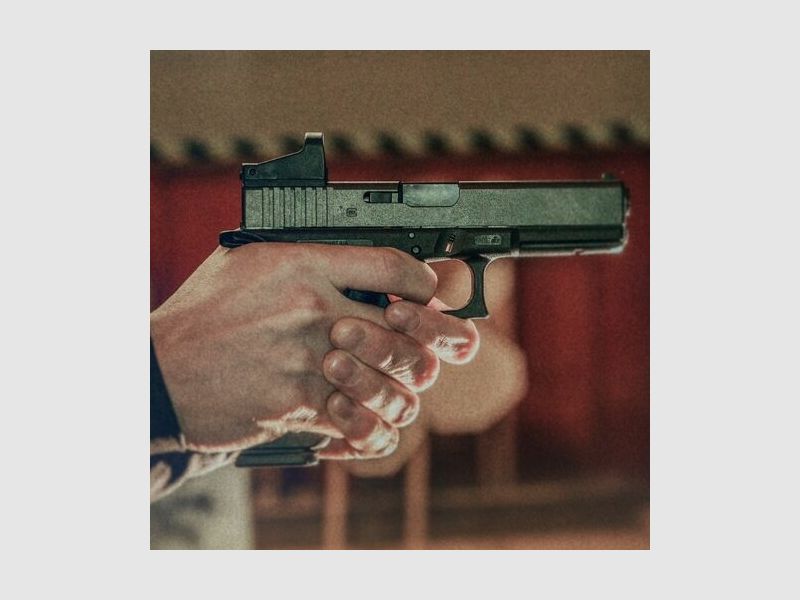 Shield Rotpunktvisier SMS SMS-2MOA-Poly 2 MOA