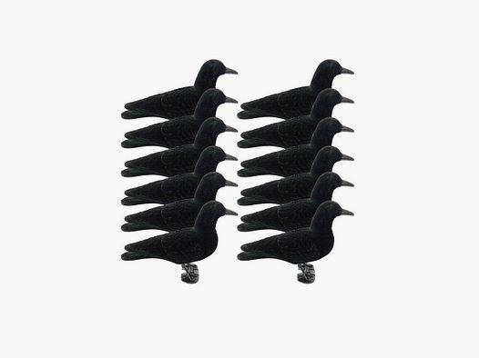 Removable head crow shapes x12