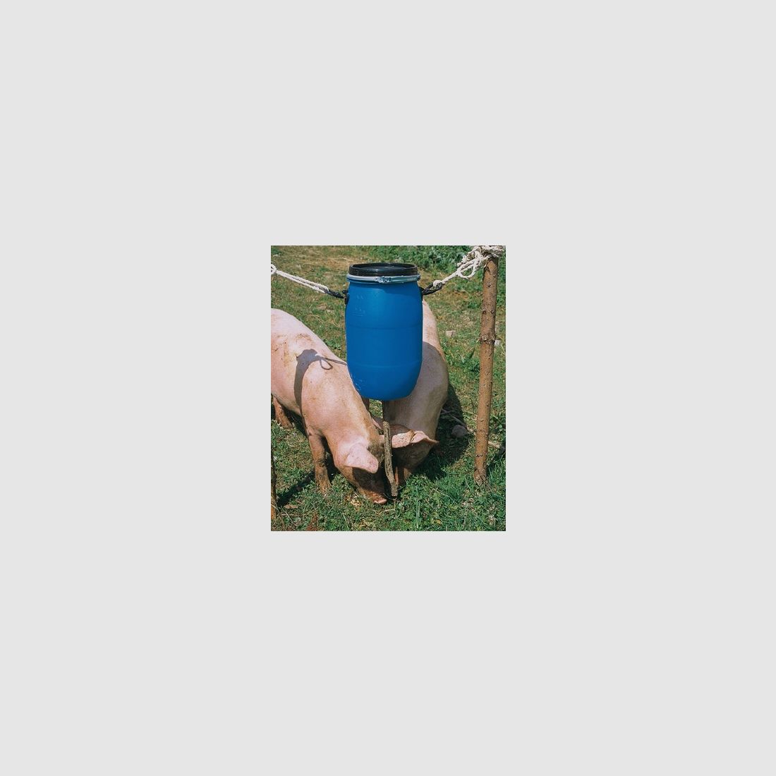 Kieferle's Futtermeister