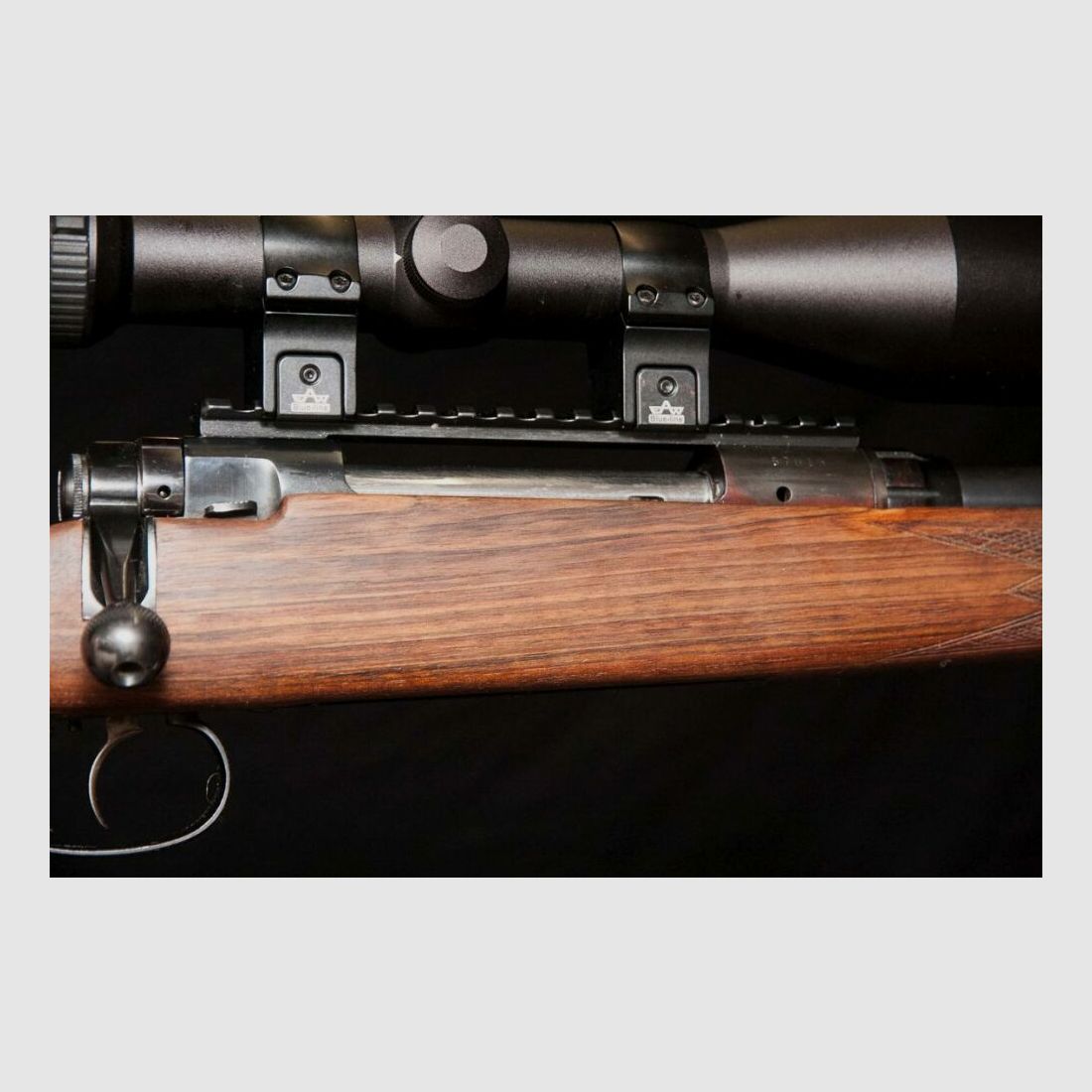 Pacchetto completo di arma da cacciatore giovane Anschütz Repetierer con mirino possibile