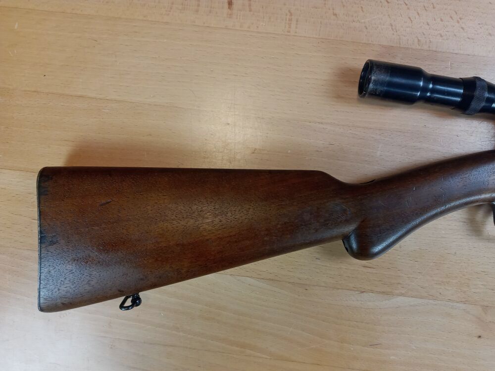 FN Browning Auto 22