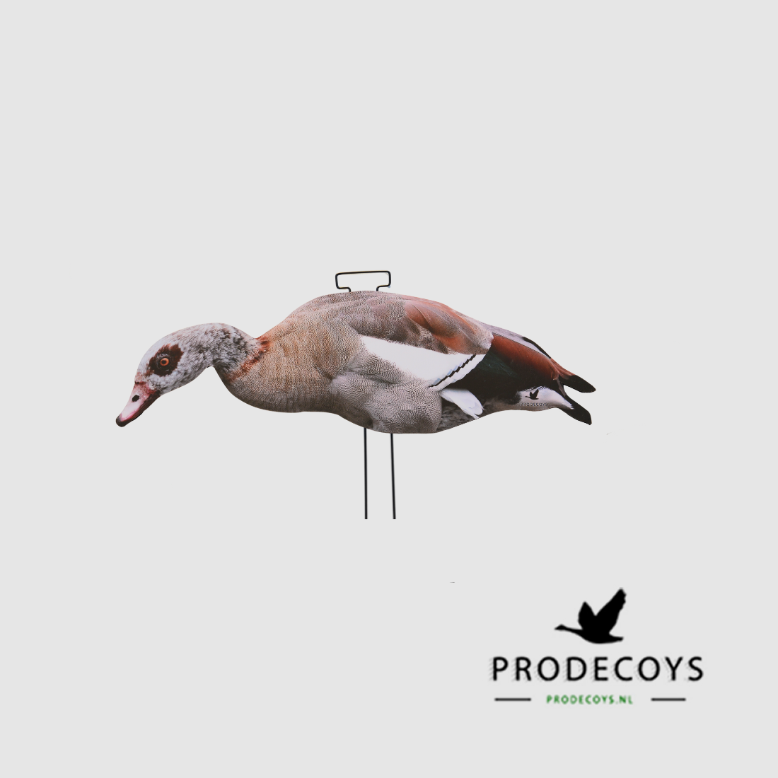 Prodecoys formes d’appel pour oie du Nil – 12 pièces, image 4 sur 5