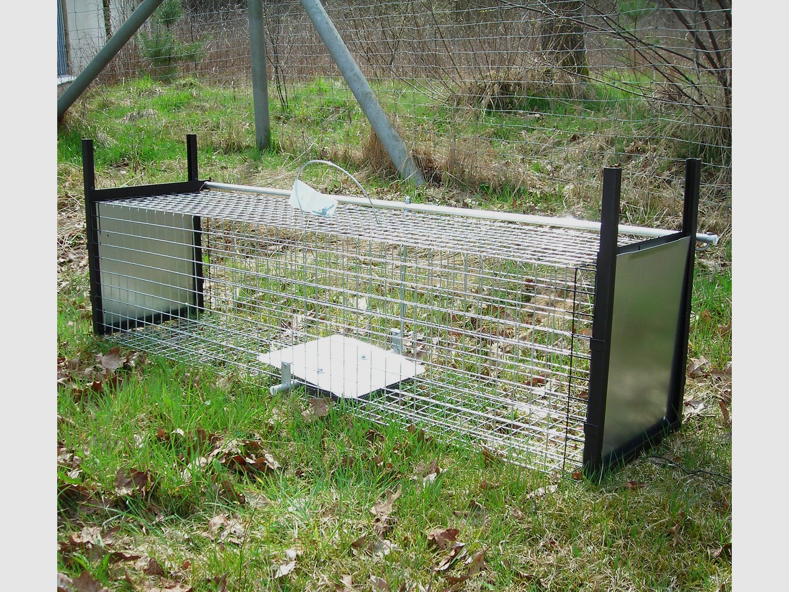 Trappola per predatori